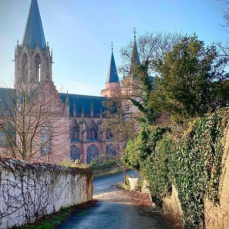 Schoenster Blick Auf Oppenheim! ภายนอก รูปภาพ
